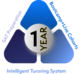 Year Long Triangle